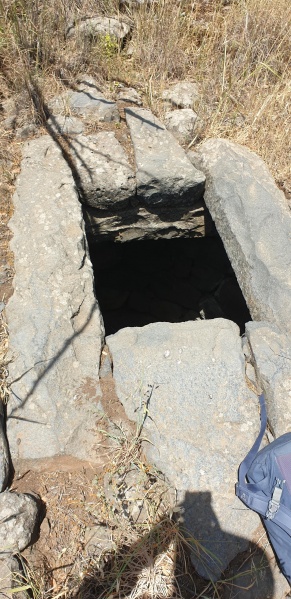 קובץ:2025-05-09T11 41 10.416252329520.jpg