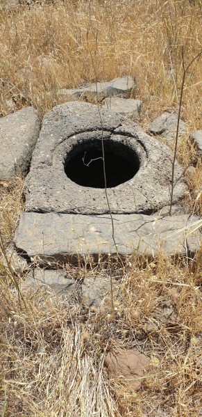 קובץ:2025-05-09T11 52 17.424255772257.jpg