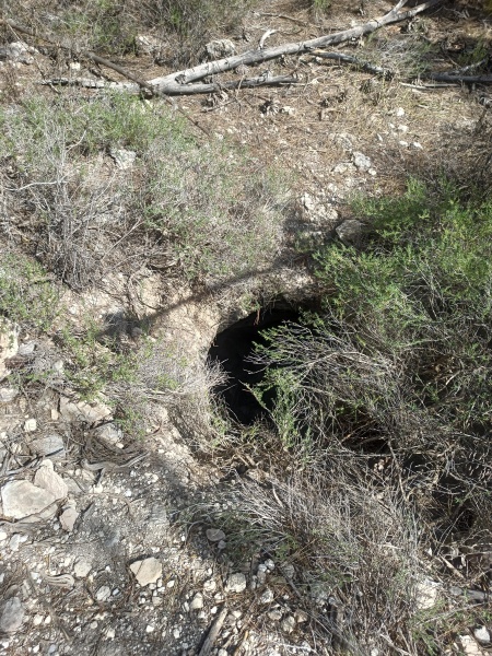 קובץ:2025-05-09T15 12 11.107407405665.jpg