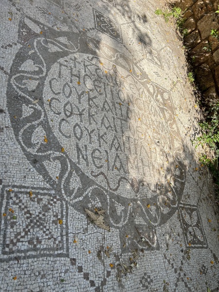 קובץ:2025-05-09T16 48 12.875383634059.jpg