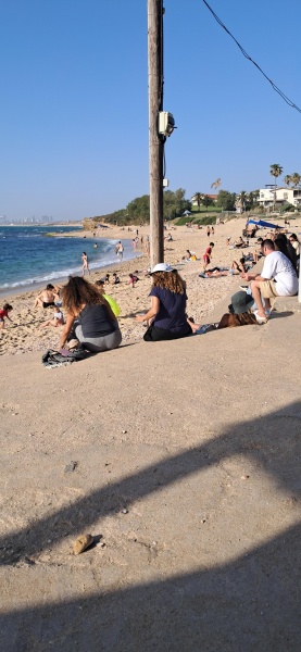 קובץ:2025-05-09T17 35 37.181055314036.jpg
