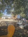 תמונה ממוזערת לגרסה מתאריך 06:00, 10 במאי 2025