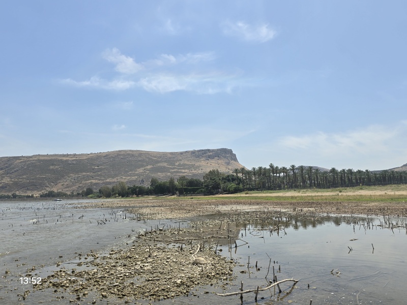 קובץ:2025-05-10T13 55 31.735630709644.jpg