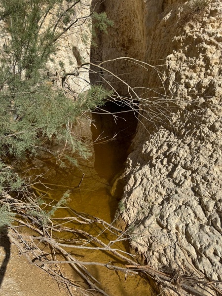 קובץ:2025-05-11T08 28 15.874837279108.jpg