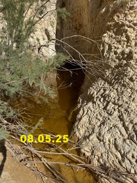 קובץ:2025-05-11T08 31 35.399964439485.jpg
