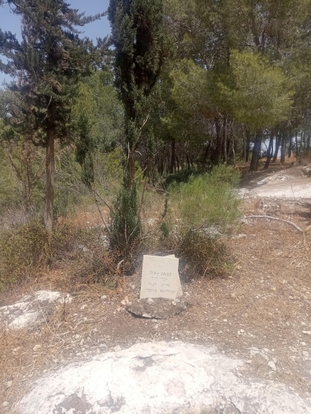 קובץ:2025-05-11T11 50 21.068553928955.jpg