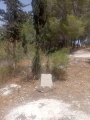 תמונה ממוזערת לגרסה מתאריך 13:20, 12 במאי 2025