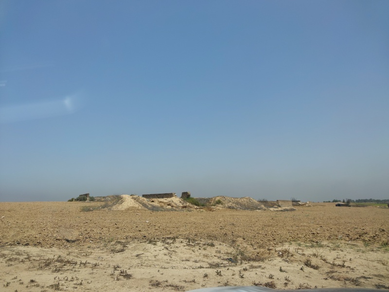 קובץ:2025-05-11T12 44 05.350650302471.jpg
