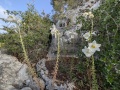 תמונה ממוזערת לגרסה מתאריך 16:00, 12 במאי 2025