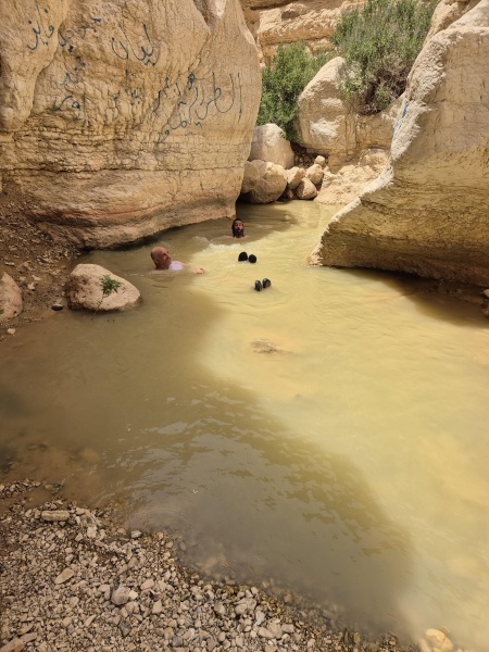קובץ:2025-05-12T13 30 08.554218136461.jpg