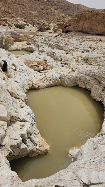 קובץ:2025-05-13T07 44 00.192401358427.jpg
