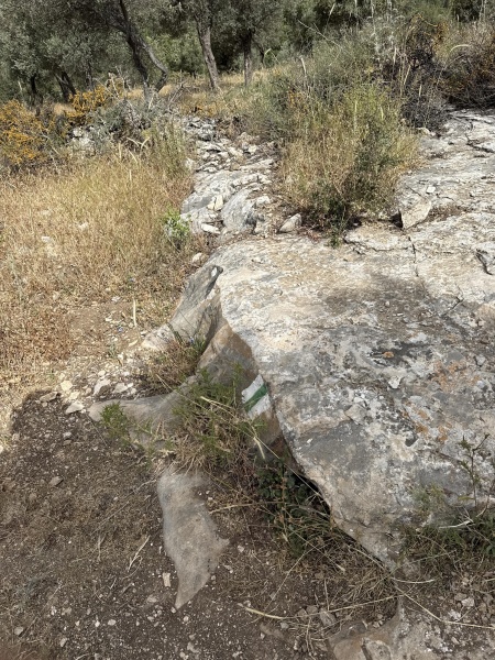 קובץ:2025-05-13T08 59 31.401263105915.jpg