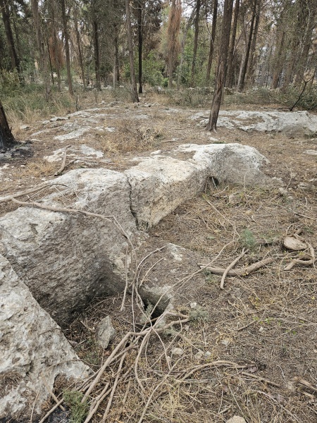 קובץ:2025-05-13T11 34 31.209955617427.jpg
