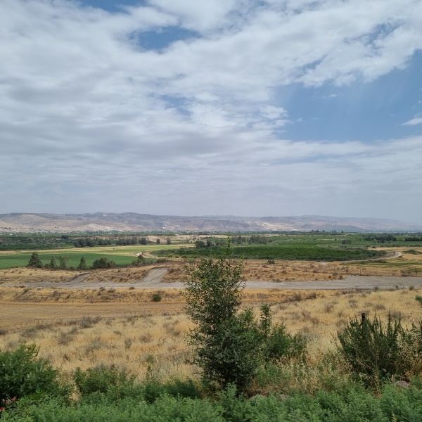 קובץ:2025-05-13T13 51 07.576284594602.jpg