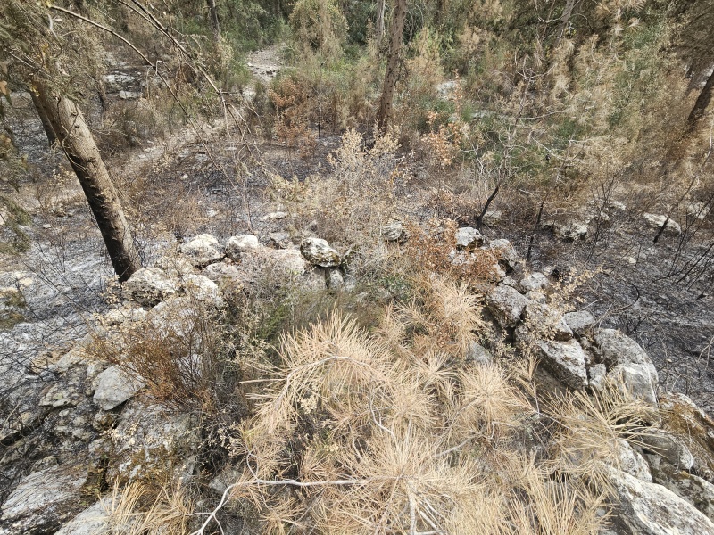 קובץ:2025-05-13T15 27 56.054047114844.jpg