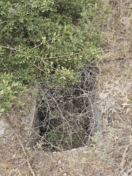 קובץ:2025-05-13T15 30 18.694792348189.jpg