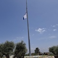 תמונה ממוזערת לגרסה מתאריך 09:32, 14 במאי 2025