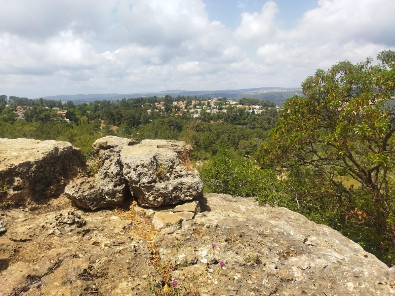 קובץ:2025-05-14T13 40 23.751548126206.jpg