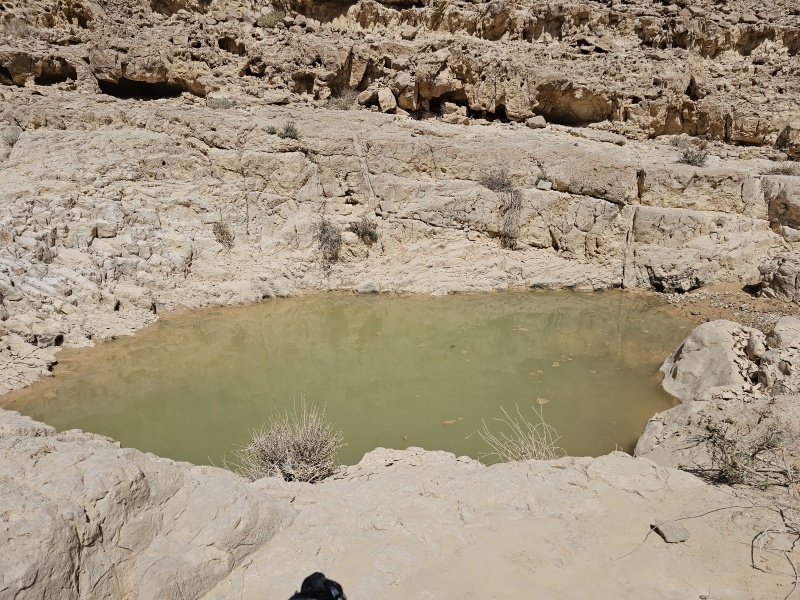 קובץ:2025-05-14T14 32 24.012131728128.jpg