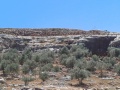 תמונה ממוזערת לגרסה מתאריך 09:49, 16 במאי 2025