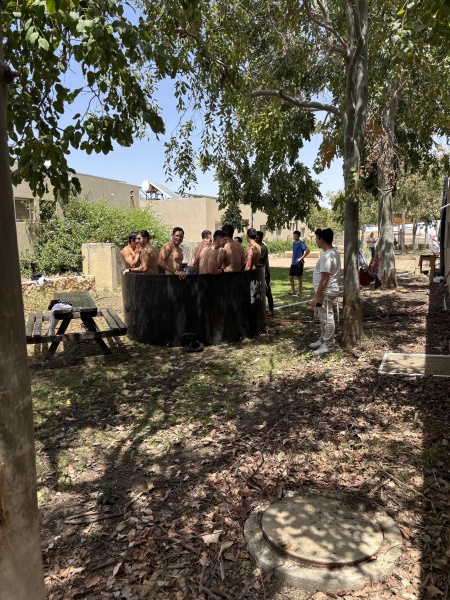 קובץ:2025-05-16T15 04 51.070287891555.jpg