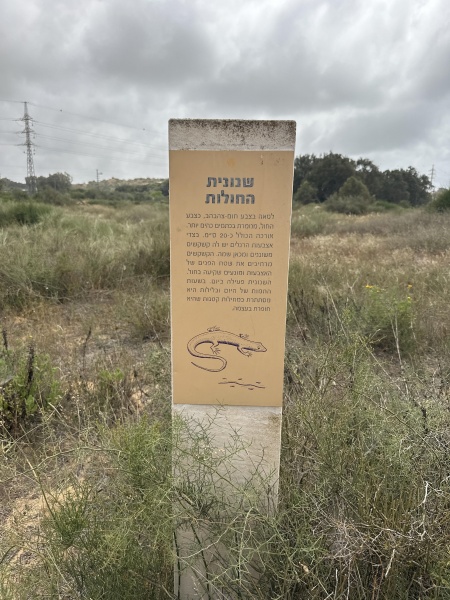 קובץ:2025-05-18T14 40 13.846448464467.jpg