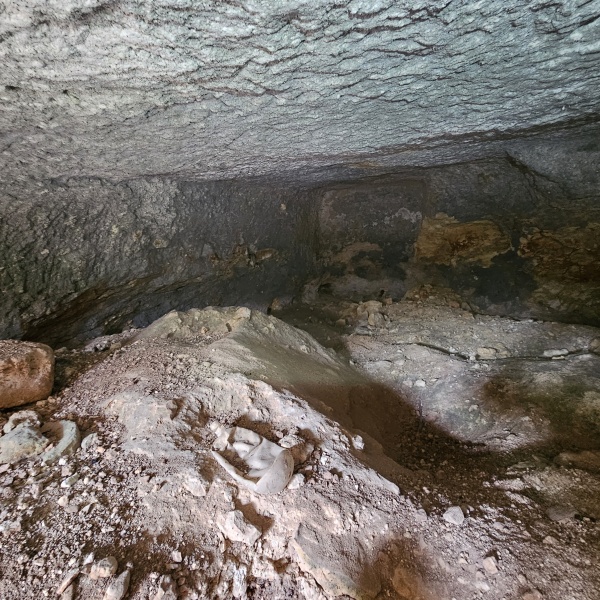 קובץ:2025-05-19T09 19 29.347578221004.jpg