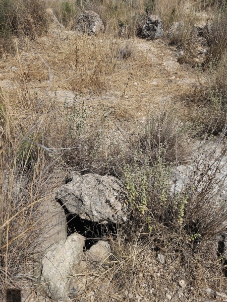 קובץ:2025-05-19T14 18 08.759011468501.jpg
