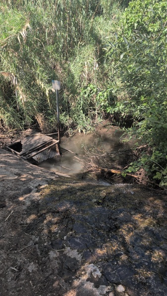 קובץ:2025-05-19T15 29 37.453454343442.jpg