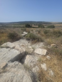 2025-05-19T15 32 43.42249434612.jpg