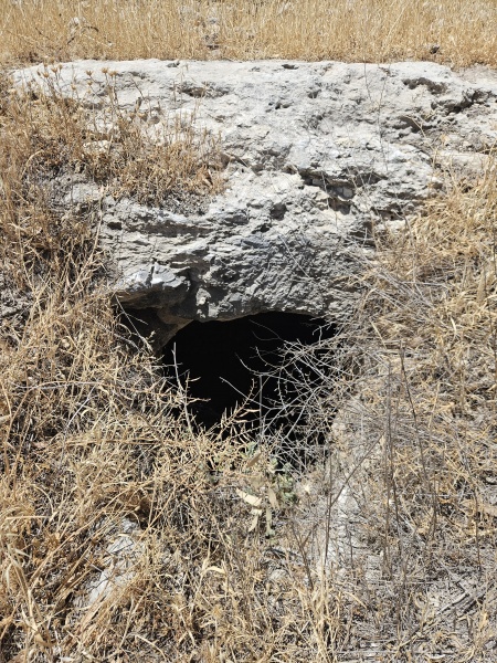 קובץ:2025-05-20T11 28 11.670969568413.jpg