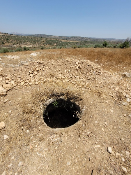 קובץ:2025-05-20T13 01 09.151132873341.jpg