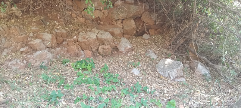 קובץ:2025-05-22T12 32 31.612111945261.jpg