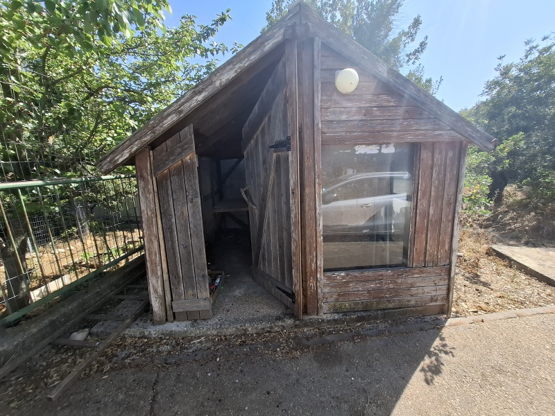 קובץ:2025-05-22T15 53 38.423184343418.jpg