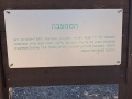 תמונה ממוזערת לגרסה מתאריך 08:51, 23 במאי 2025