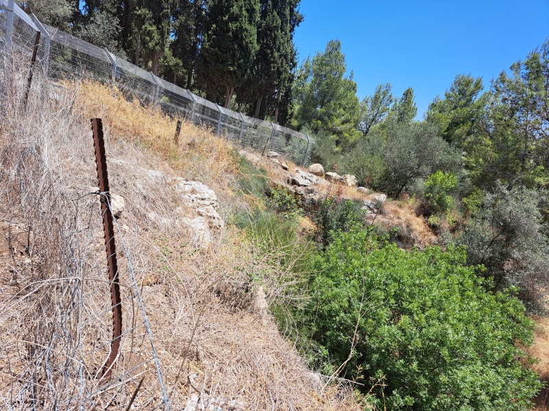 קובץ:2025-05-23T12 15 07.982292197764.jpg