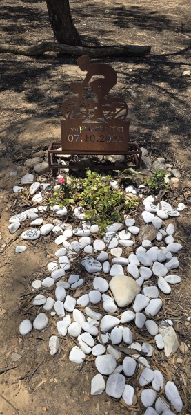 קובץ:2025-05-23T12 39 13.920182361939.jpg