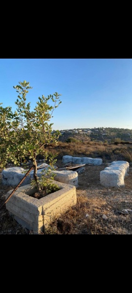 קובץ:2025-05-23T13 16 18.183279688590.jpg