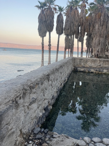 קובץ:2025-05-23T19 15 41.192348863109.jpg