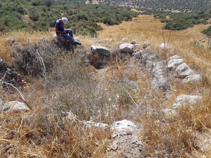 קובץ:2025-05-24T14 12 20.828373769096.jpg
