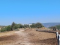 תמונה ממוזערת לגרסה מתאריך 16:46, 25 במאי 2025