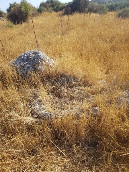 קובץ:2025-05-24T17 04 55.197864767817.jpg