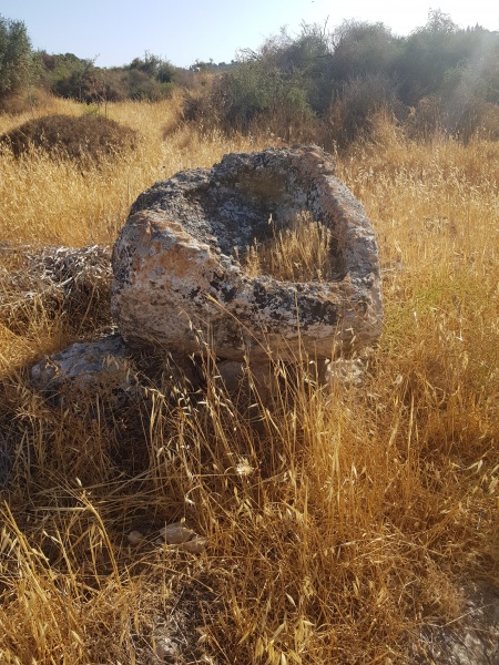 קובץ:2025-05-24T17 12 46.264791963184.jpg