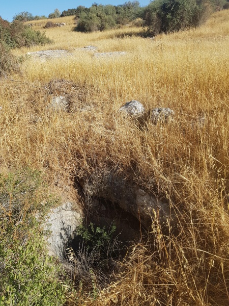 קובץ:2025-05-24T17 19 03.074431189657.jpg