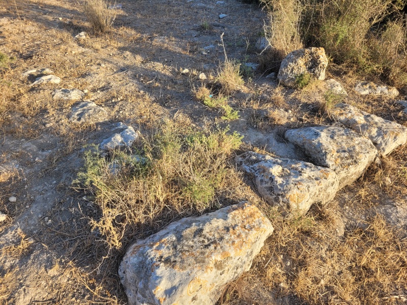 קובץ:2025-05-24T19 07 38.817606113351.jpg