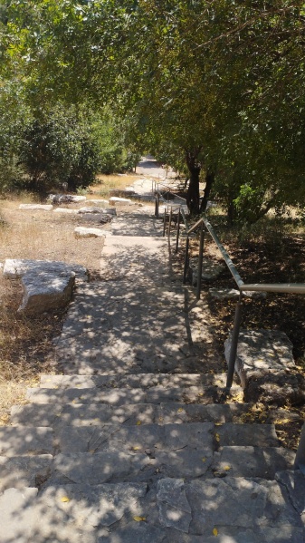 קובץ:2025-05-25T11 14 38.252686217744.jpg