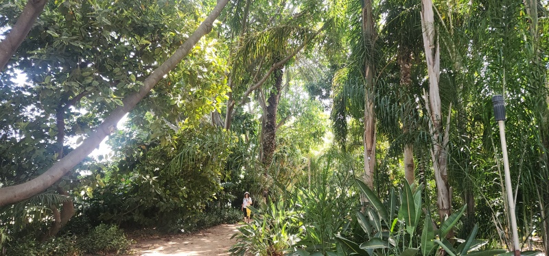 קובץ:2025-05-26T10 22 04.595088232937.jpg