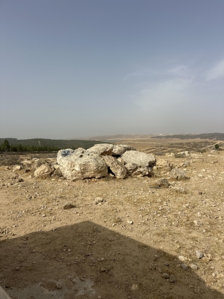 קובץ:2025-05-26T16 23 45.311603864553.jpg