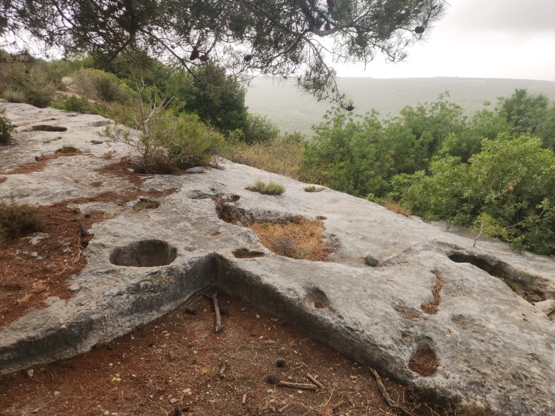 קובץ:2025-05-27T07 27 57.725169199850.jpg