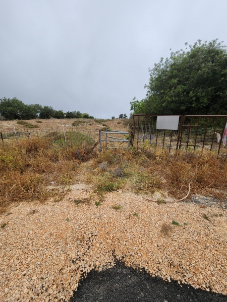 קובץ:2025-05-27T07 34 40.058010648035.jpg